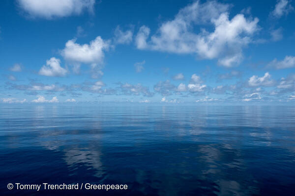 Saya de Malha Bank in the Indian Ocean