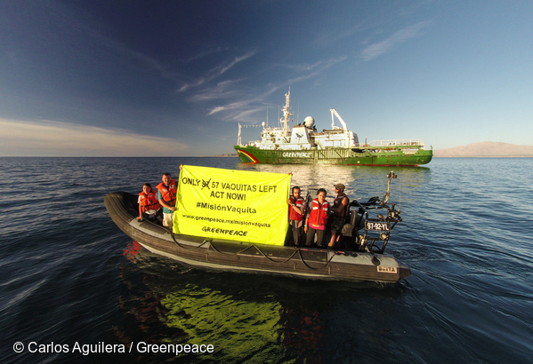 Activistas de Greenpeace sostienen una pancarta con la leyenda "Solo quedan 57 vaquitas - ¡Actúa ya!" durante su investigación en el hábitat de la vaquita marina, una especie en peligro de extinción, en el Alto Golfo de California.