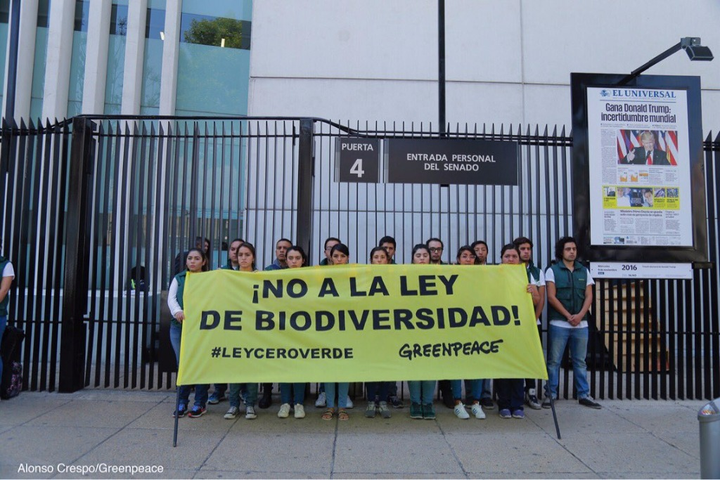 Voluntarios de Greenpeace México sostienen una manta con la leyenda "No a la Ley de Biodiversidad" en señal de protesta.