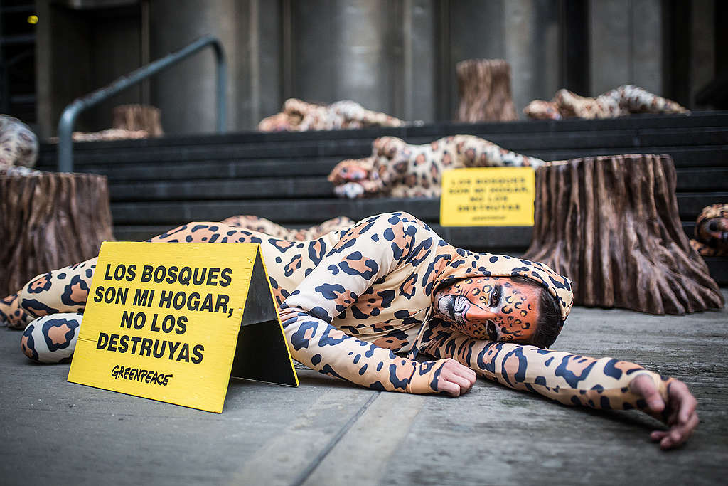 Activistas de Greenpeace vestidos de jaguar, con un cartel que dice “Los bosques son mi hogar, no los destruyas”