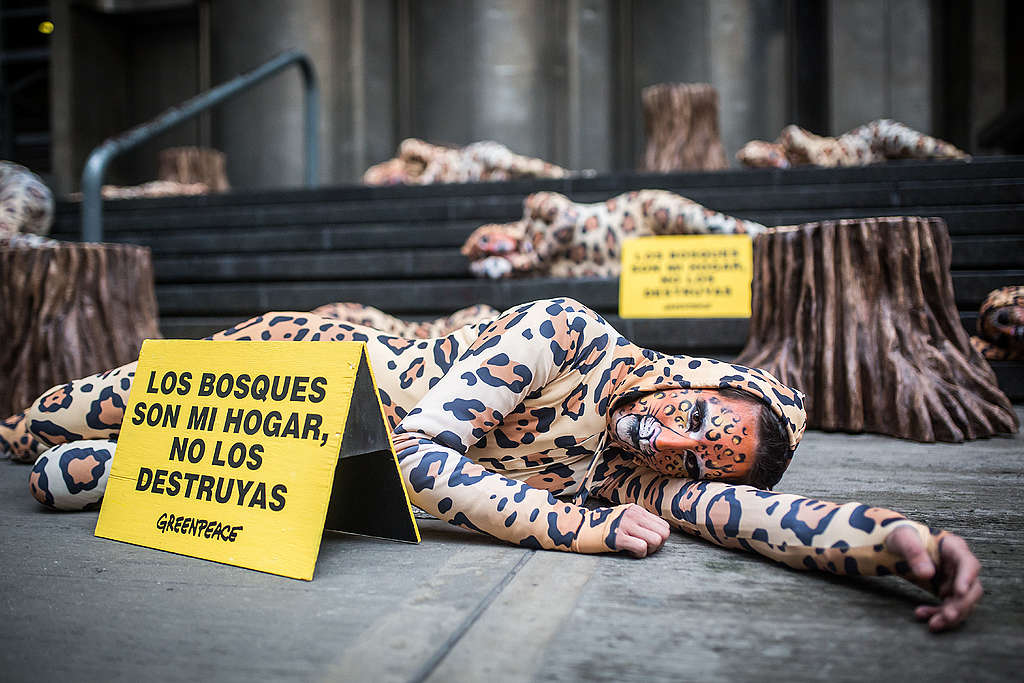 Activistas de Greenpeace vestidos de jaguar, con un cartel que dice “Los bosques son mi hogar, no los destruyas” Activistas de Greenpeace vestidos de jaguar, con un cartel que dice “Los bosques son mi hogar, no los destruyas”
