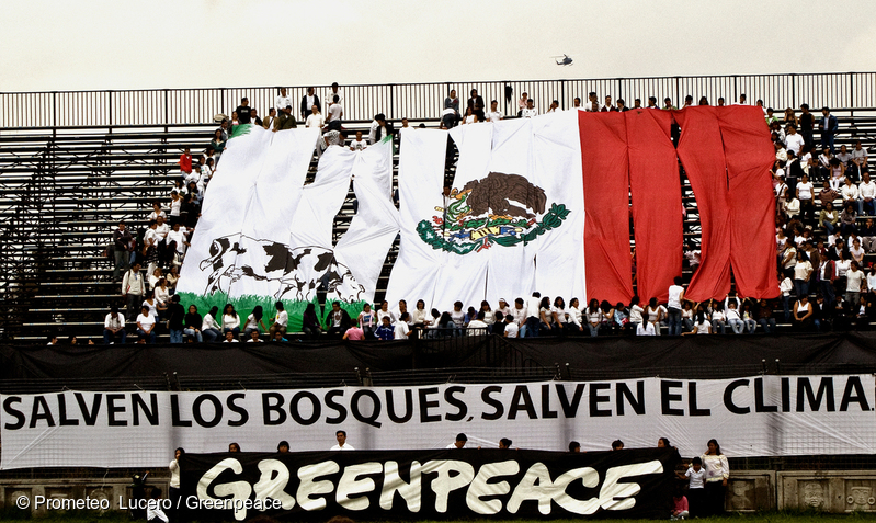 Activistas de Greenpeace protestando con una de bandera de México y un dibujo de una vaca comiendo el color verde y el mensaje: “Salven los bosques, salven el clima”