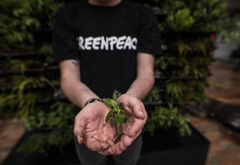 Manos sosteniendo una planta, acciones para el cuidado del medio ambiente