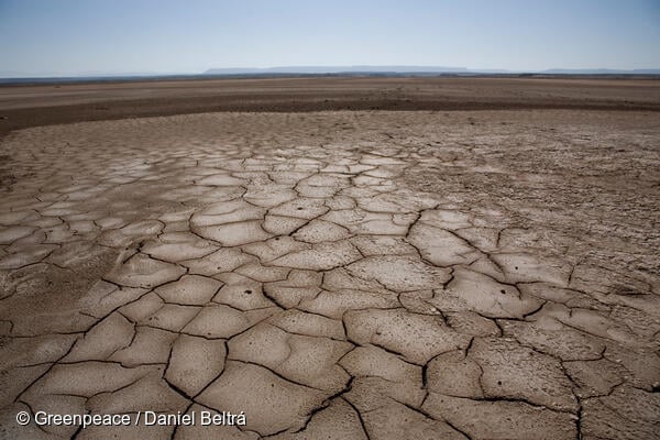 Sequía_Calor_Greenpeace