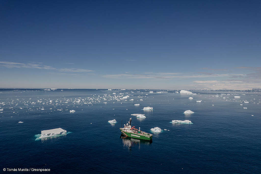 Arctic Sunrise In Antarctica