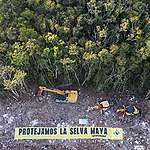 Reporte Técnico del Análisis de la Manifestación de Impacto Ambiental Modalidad Regional del Proyecto Tren Maya Tramo 5 Sur