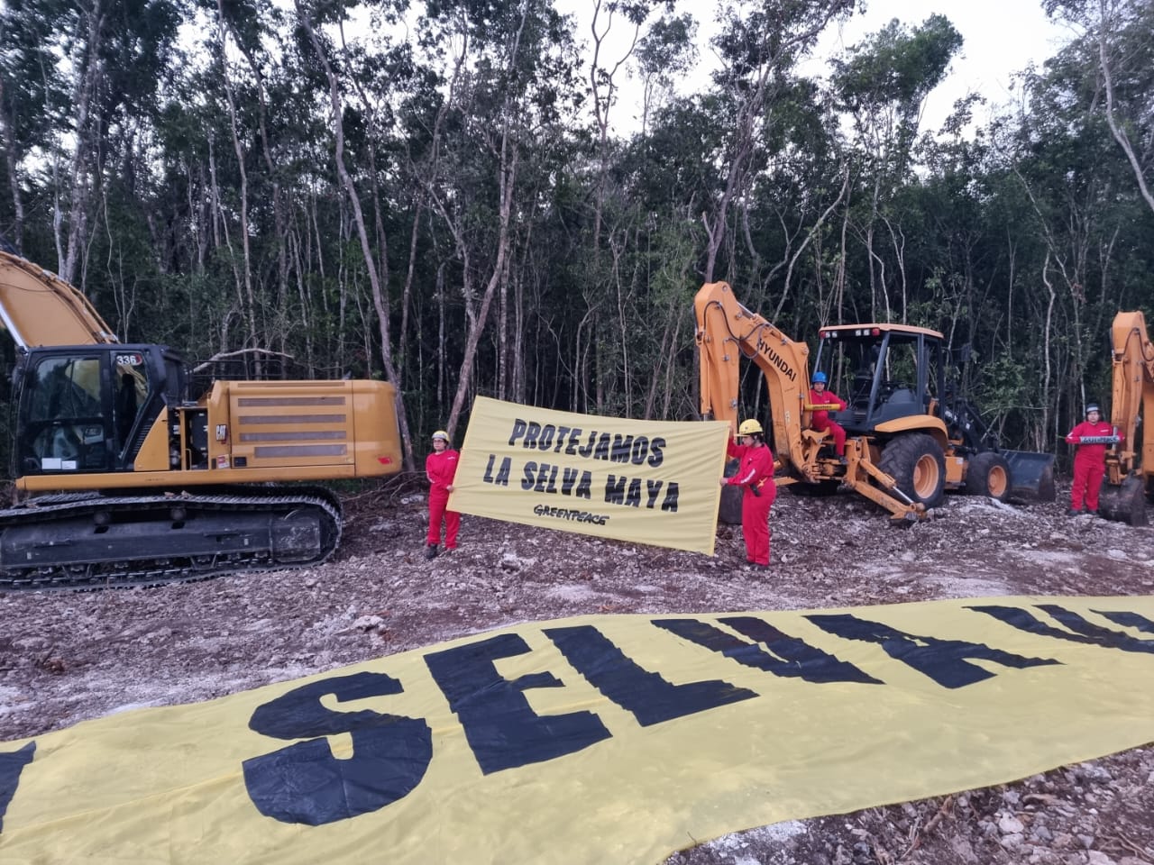 Activistas de Greenpeace México protestan en las obras del Tren Maya anclados a la maquinaria y con mantas en las que se lee "Protejamos la Selva Maya".