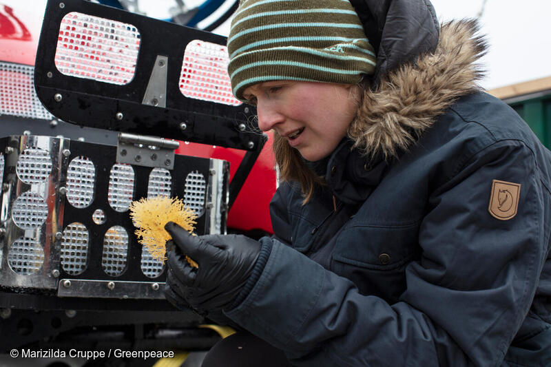 Submersible Dive In Antarctica