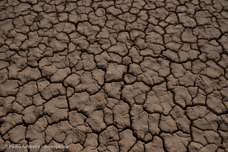 Suelo seco y agrietado debido a la sequía, reflejando la crisis ambiental y los efectos del cambio climático.