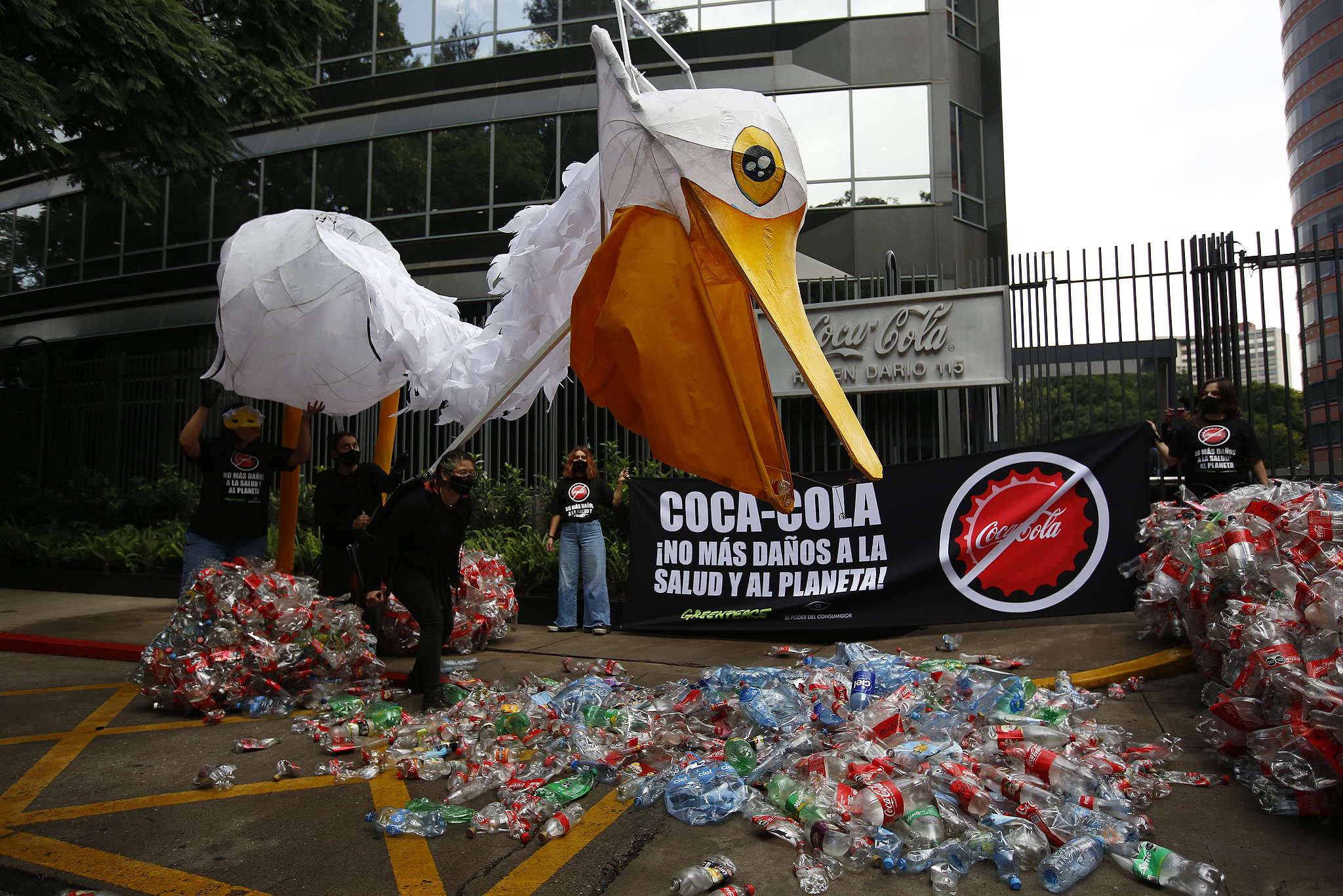 ¿Cómo contaminan los plásticos al medio ambiente? - Greenpeace México