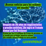 ¡Histórico! Después de años de negociaciones y presión activista, el Tratado Global por los Océanos es una realidad