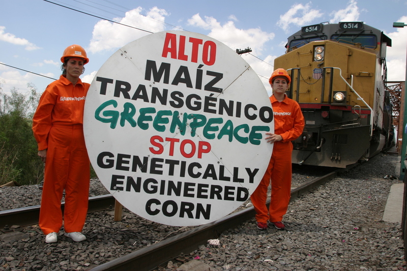 Greenpeace intercepta un tren cargado de maíz estadounidense cuando intentaba entrar en México.