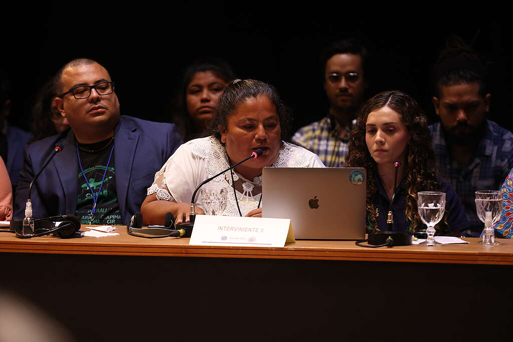 Testimonio de Aurea Sánchez, miembro de la comunidad de El Bosque, la primera en México en ser reconocida oficialmente por las autoridades como desplazada climática. © Gustavo Graf Testimonio de Aurea Sánchez, miembro de la comunidad de El Bosque, la primera en México en ser reconocida oficialmente por las autoridades como desplazada climática. © Gustavo Graf