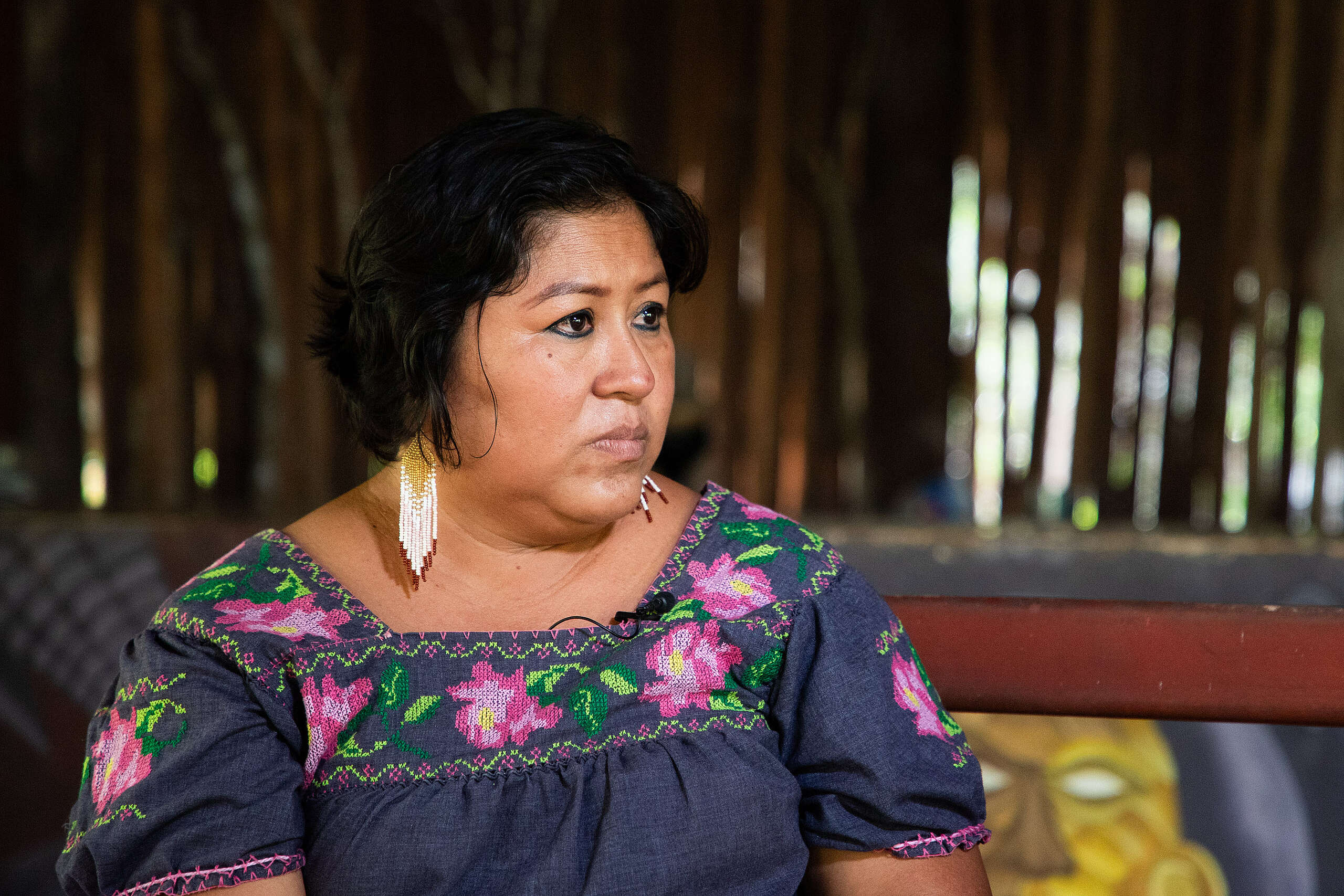 3 mujeres indígenas que lideran la lucha ambiental en Latinoamérica 