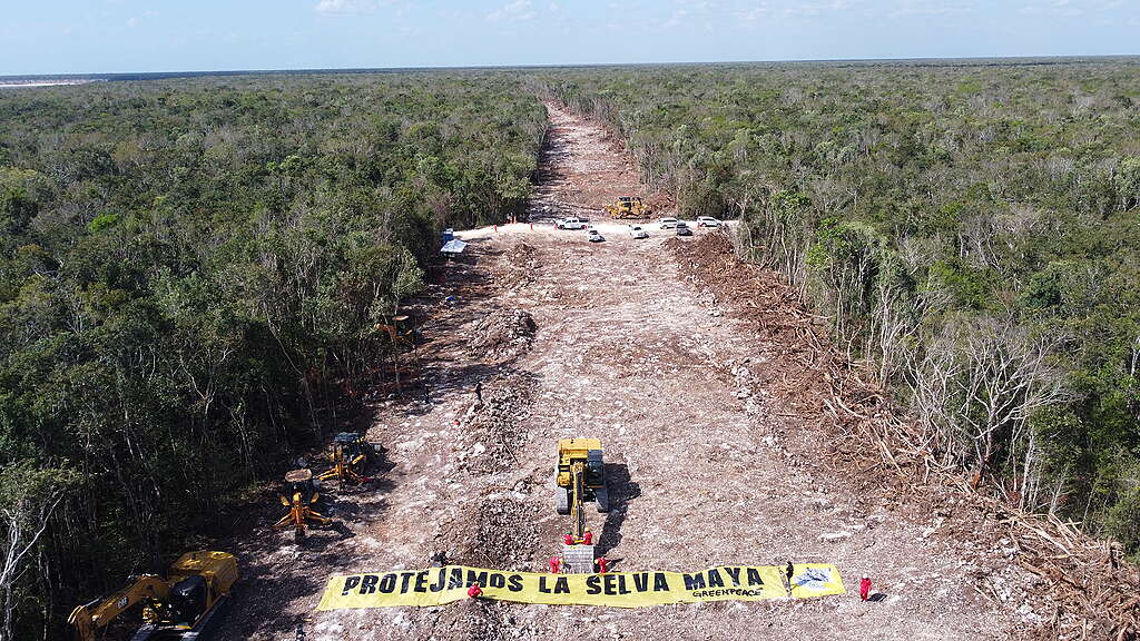 Acción en la construcción del Tren Maya en México Activistas de Greenpeace México y representantes de otros grupos y organizaciones detienen simbólicamente las obras que se realizan en el tramo 5 del Tren Maya que va de Cancún a Tulum. Acción en la construcción del Tren Maya en México
Activistas de Greenpeace México y representantes de otros grupos y organizaciones detienen simbólicamente las obras que se realizan en el tramo 5 del Tren Maya que va de Cancún a Tulum.