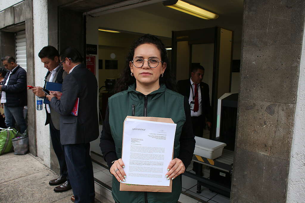 Staff de Greenpeace México frente al Senado durante manifestación.