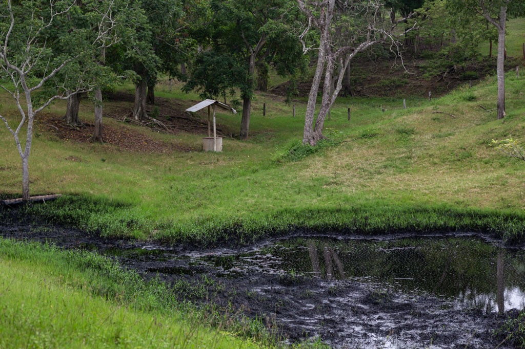 Fotografía de arroyo en Papantla que evidencia la contaminación causada por PEMEX
