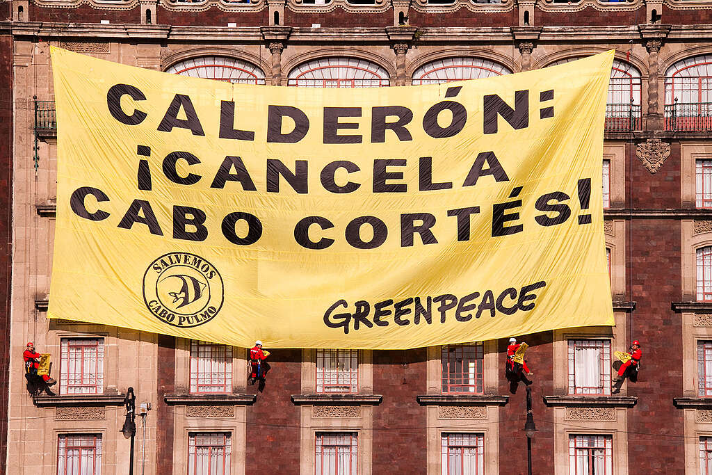 Activistas de Greenpeace México en acción colgando una manta gigante en la que se lee "Calderón: ¡Cancela Cabo Cortés!"