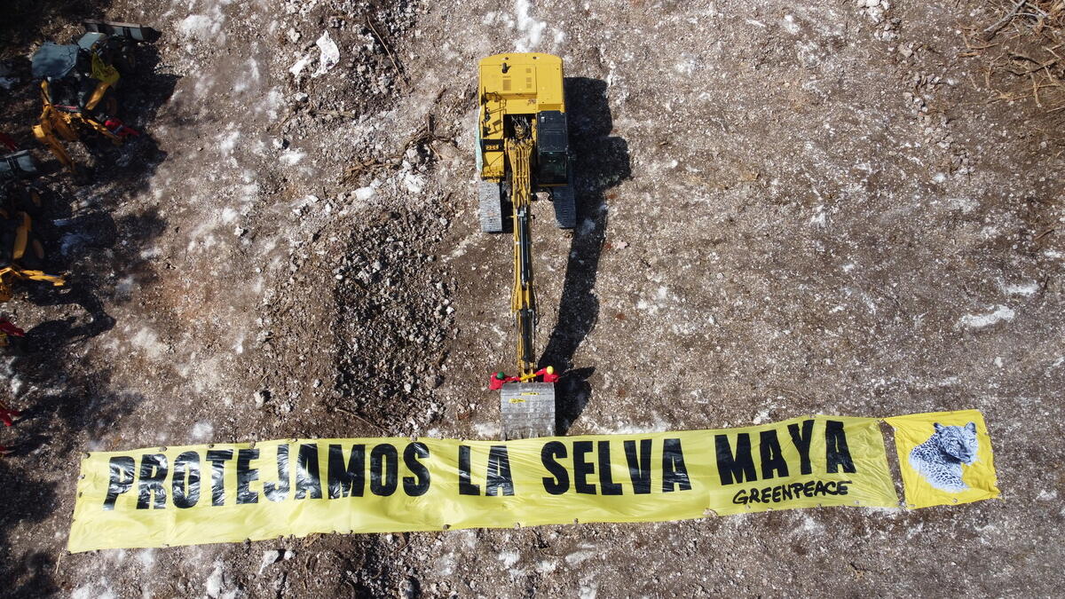 Vista aérea de un tramo en construcción del Tren Maya, con activistas de Greenpeace ancladas a la maquinaria y el mensaje "Protejamos la Selva Maya".