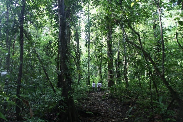 El proyecto de presupuesto para 2025 recorta todavía más los recursos para proteger el medio ambiente 