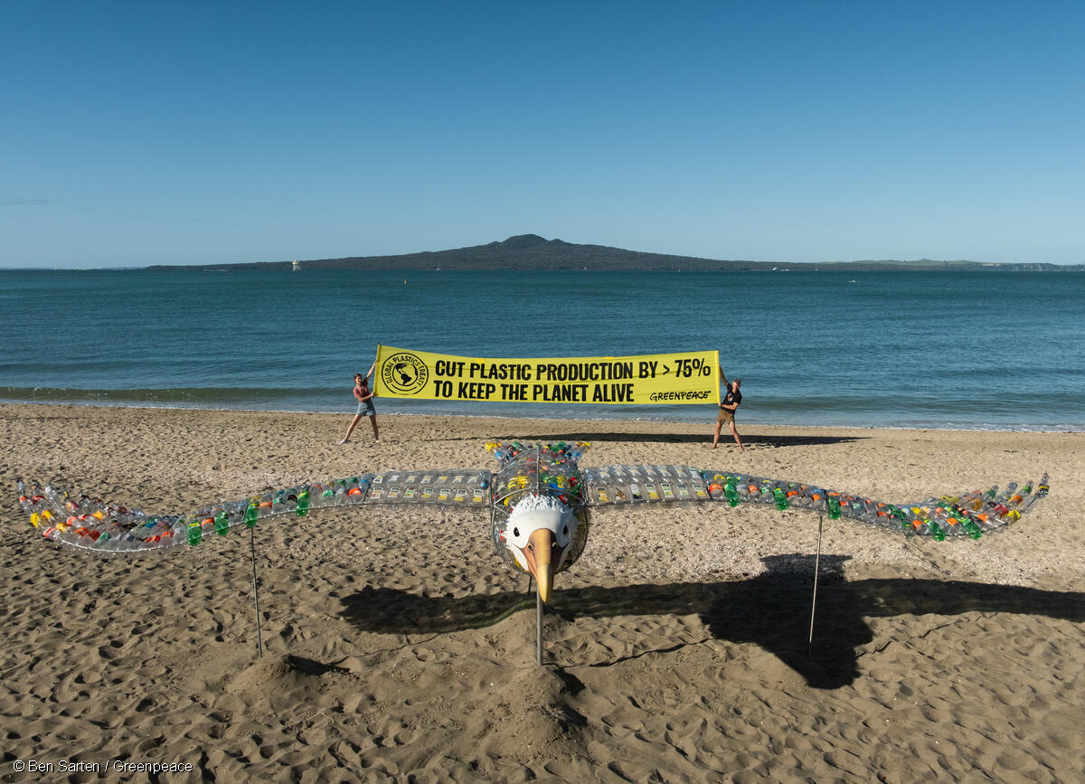 Voluntarios de Greenpeace Aotearoa instalan una toroa/albatros gigante  con el mensaje "Reduzcan la producción de plásticos un 75% para mantener el planeta vivo"