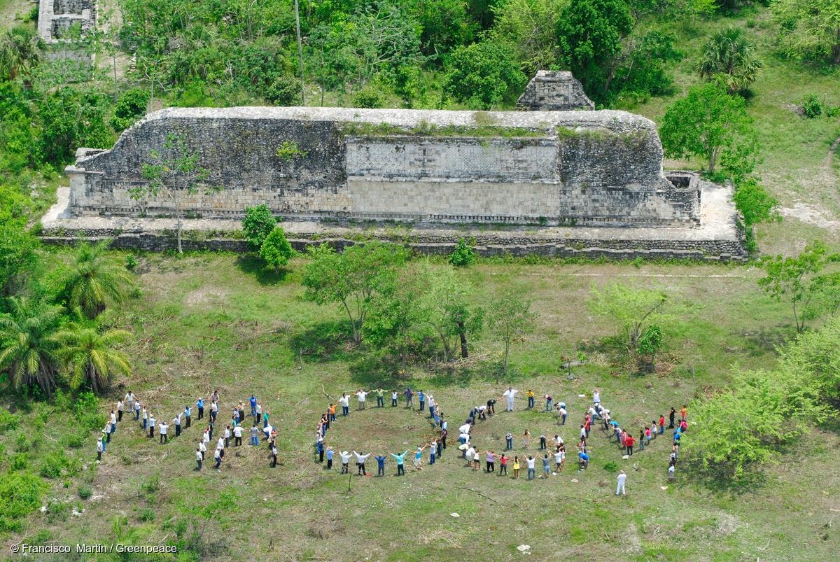 Luchas ambientales contra la agroindustria en la Selva Maya