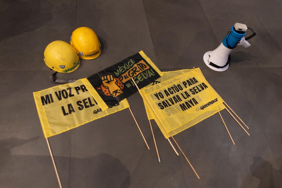 Premiere of Documentary "Voices of the Mayan Jungle: a Struggle for Life" in Mexico. © Gustavo Graf / Greenpeace