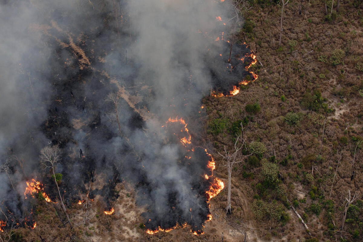 Monitoring of Deforestation and Fires in the Amazon. © Marizilda Cruppe / Greenpeace Monitoring of Deforestation and Fires in the Amazon. © Marizilda Cruppe / Greenpeace