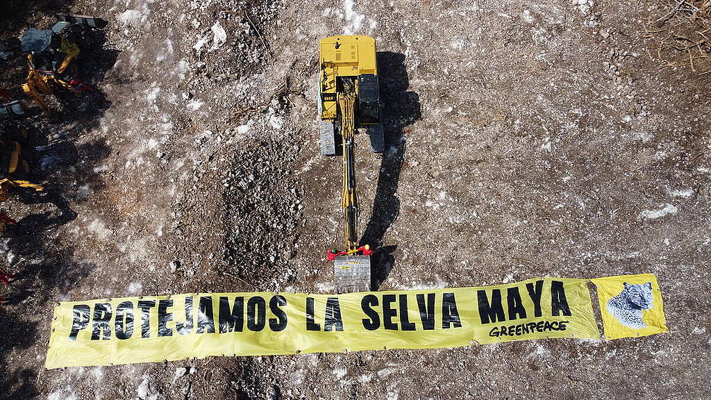 Action at Mayan Train Construction in Mexico. © Paola Chiomante / Greenpeace