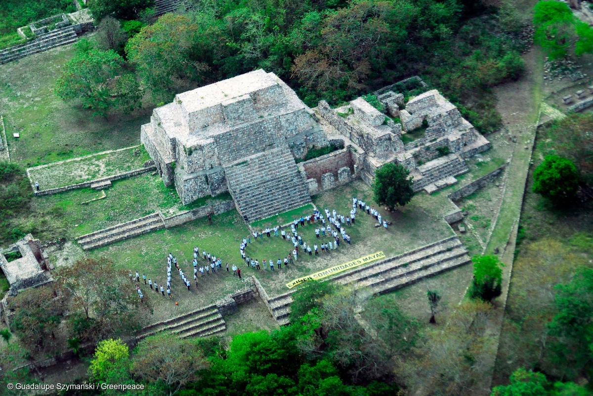 Comunidades mayas y organizaciones denuncian ante PROFEPA y SENASICA presencia de maíz y soya transgénicos en Campeche