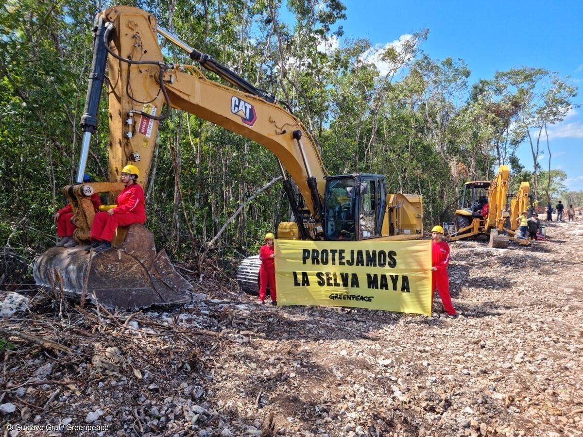 Activistas de Greenpeace México detienen simbólicamente las obras de construcción del tramo 5 del Tren Maya, que va de Cancún a Tulum. Se exhiben pancartas con el mensaje "Protejamos la selva maya", mientras ocho activistas se encadenan a la maquinaria.