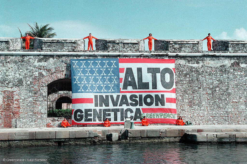 Fotografía panorámica de acción de Greenpeace en la que se observa una bandera de Estados Unidos gigante con la leyenda "Alto invasión genética". Fotografía panorámica de acción de Greenpeace en la que se observa una bandera de Estados Unidos gigante con la leyenda "Alto invasión genética".