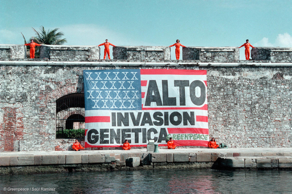 Fotografía panorámica de acción de Greenpeace en la que se observa una bandera de Estados Unidos gigante con la leyenda "Alto invasión genética". Protesta contra la importación de maíz transgénico en Veracruz, México. "Alto invasión genética"