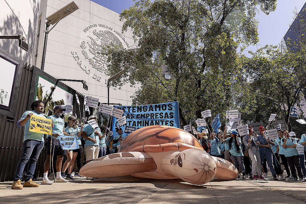 Lanzamiento de campaña Océanos sin Plásticos enfrente del Senado de la República en Ciudad de México. 