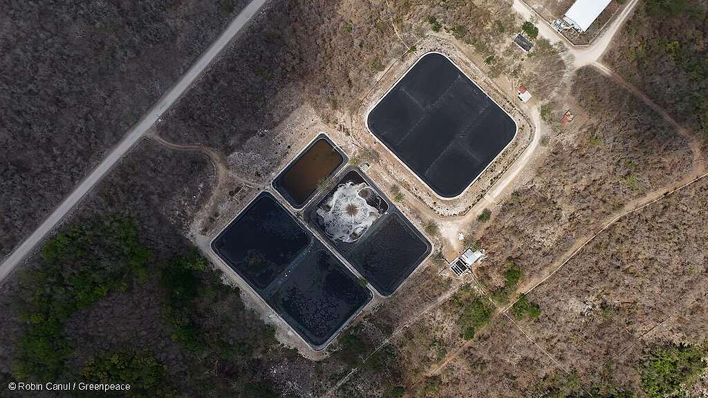 Vista aérea de la granja porcícola de Sitilpech, Yucatán.