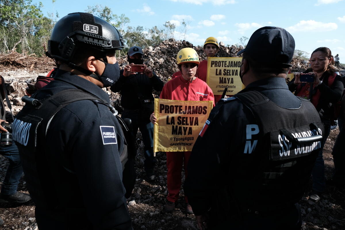 Action at Mayan Train Construction in Mexico. © Gustavo Graf / Greenpeace Action at Mayan Train Construction in Mexico. © Gustavo Graf / Greenpeace