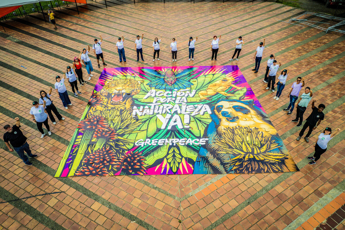 Activists Assemble Giant Jigsaw Puzzle Calling for Urgent Action in Colombia. © Nathalia Angarita / Greenpeace