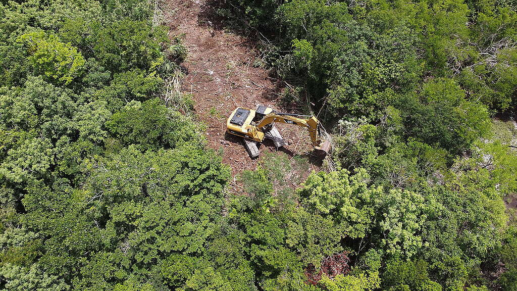 Toma aérea que evidencia la deforestación causada en la Selva Maya.