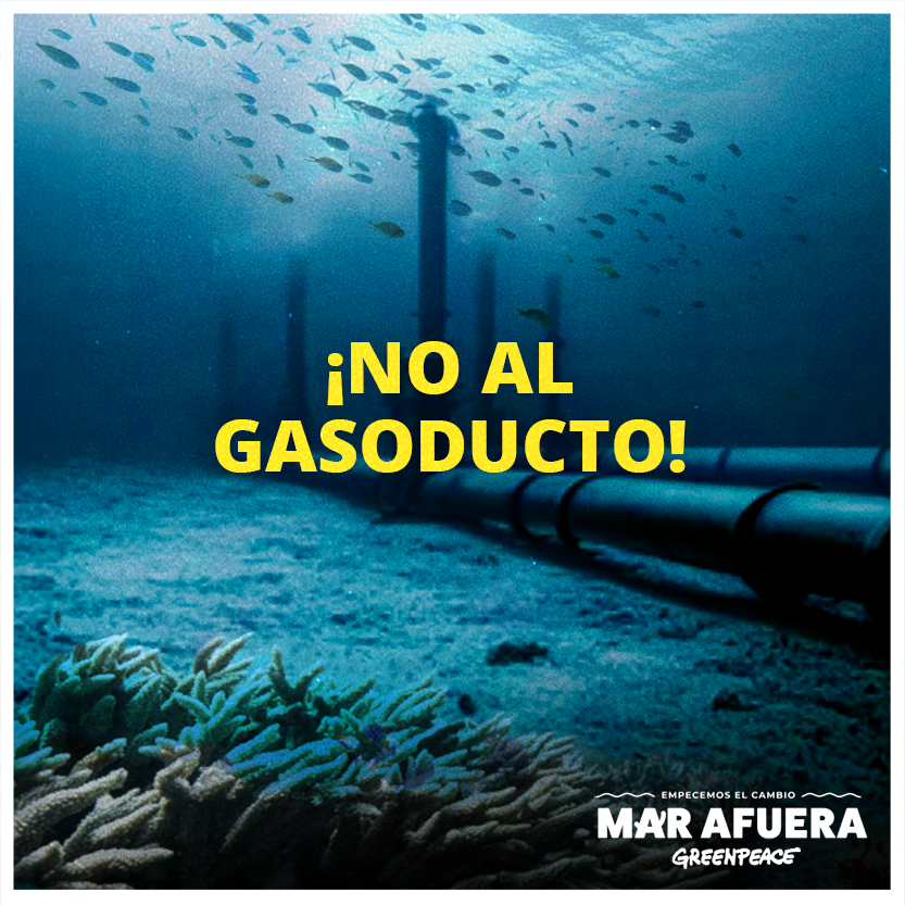 Imagen submarina con texto que dice "No al gasoducto", en protesta por la amenaza a los arrecifes veracruzanos.