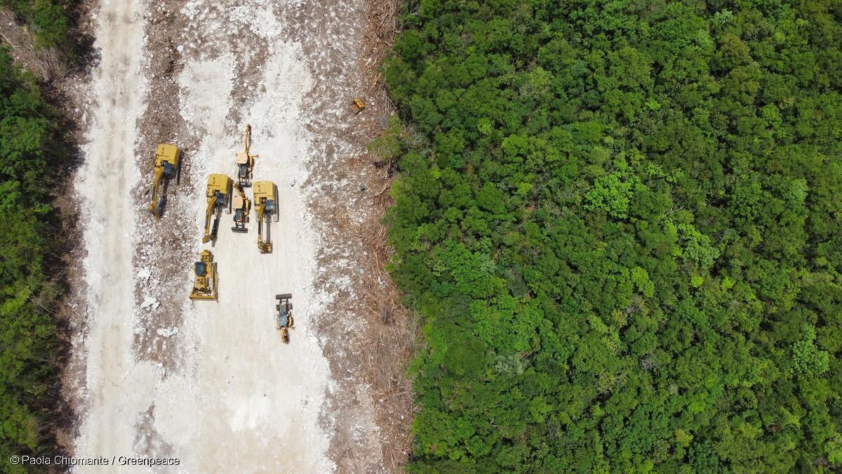 Las 5 escabrosas mentiras del Tren Maya que debes conocer.