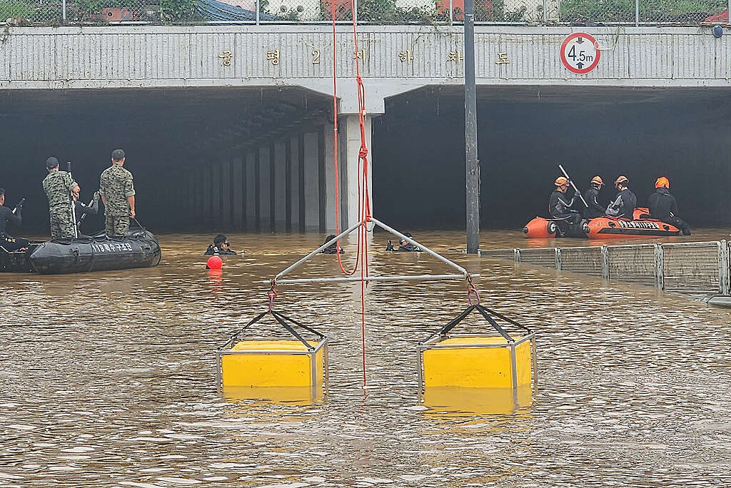 Equipo de rescate y protección civil en acción tras inundaciones en Corea. Equipo de rescate y protección civil en acción tras inundaciones en Corea.