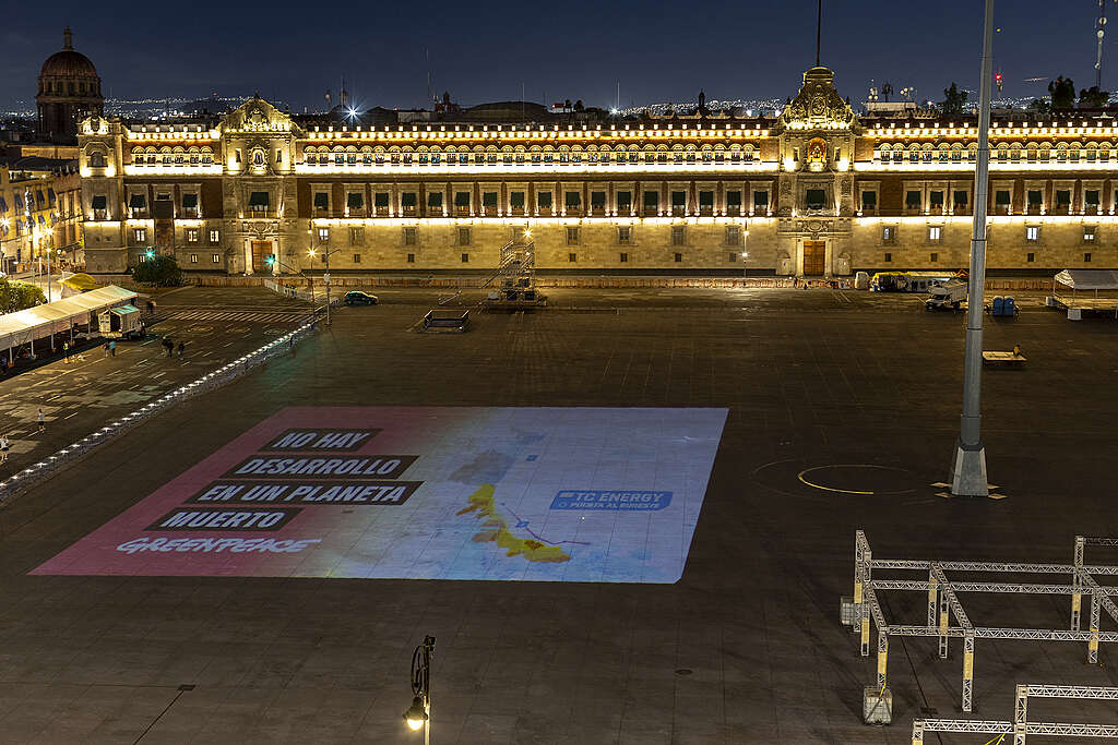 Proyección frente al Palacio Nacional con la frase "NO HAY DESARROLLO EN UN PLANETA MUERTO", denunciando el gasoducto de TC Energy que amenaza arrecifes en Veracruz.