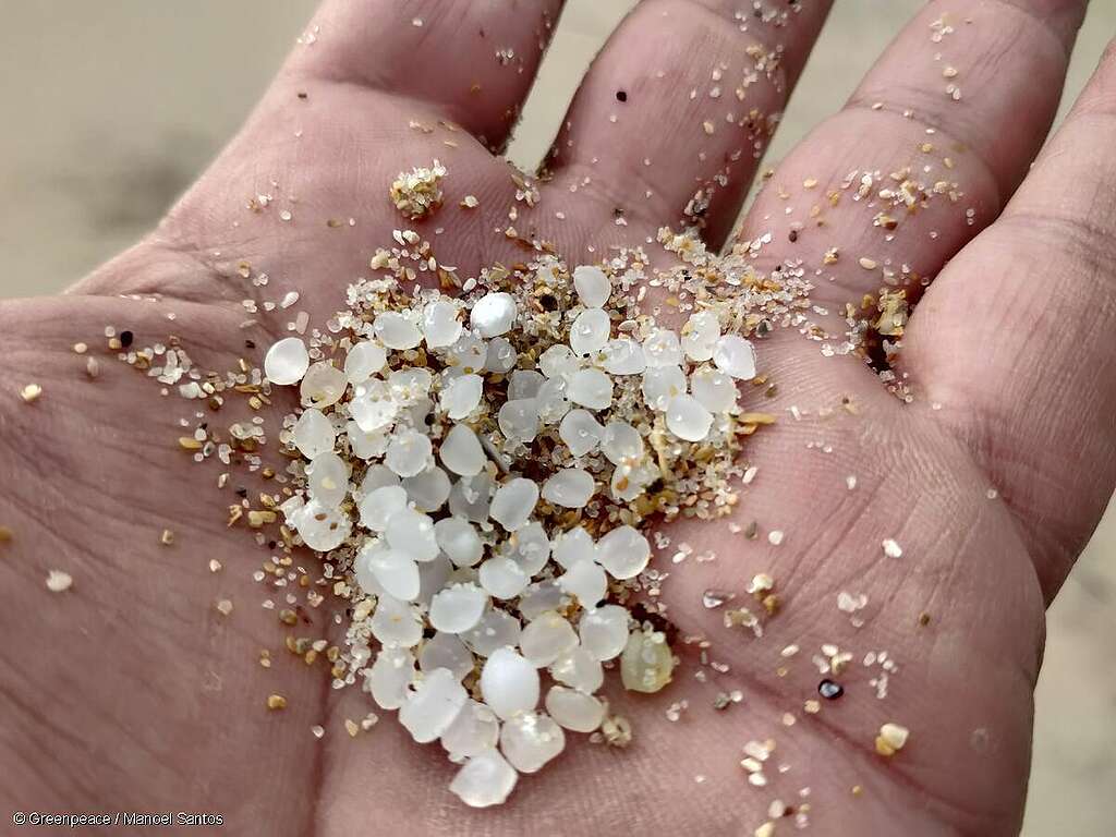 Mano sosteniendo varios microplásticos recogidos de la arena en una playa de Galicia, visibilizando la contaminación plástica en el entorno natural. Mano sosteniendo varios microplásticos recogidos de la arena en una playa de Galicia, visibilizando la contaminación plástica en el entorno natural.