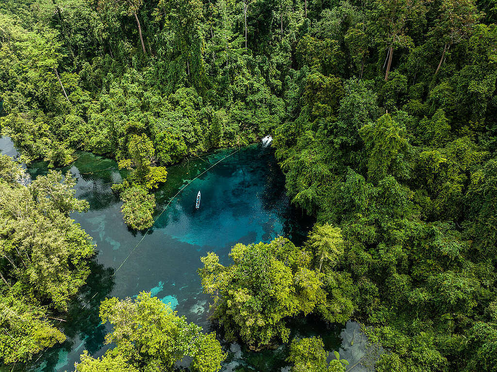 Klaogin River, Seremuk. © Alif R Nouddy Korua / Greenpeace