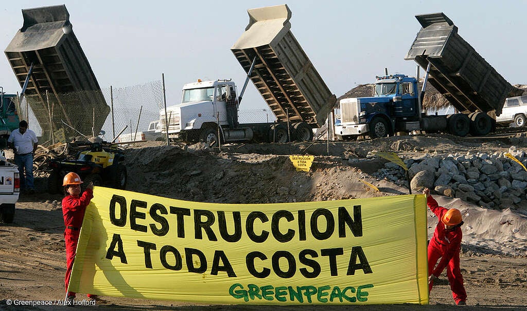Dos activistas de Greenpeace bloquean camiones con una manta que dice "Destrucción a toda costa", en una obra ilegal de un desarrollo inmobiliario costero. Dos activistas de Greenpeace bloquean camiones con una manta que dice "Destrucción a toda costa", en una obra ilegal de un desarrollo inmobiliario costero.