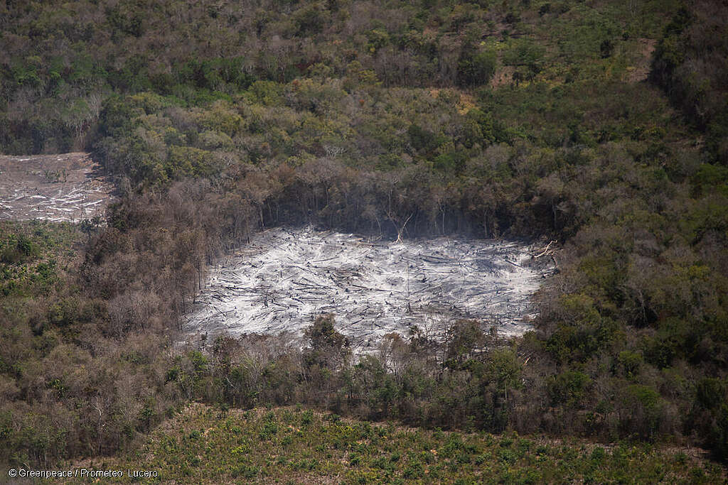 Vista aérea de un incendio forestal en Nuevo Canaan, Quintana Roo. Vista aérea de un incendio forestal en Nuevo Canaan, Quintana Roo.