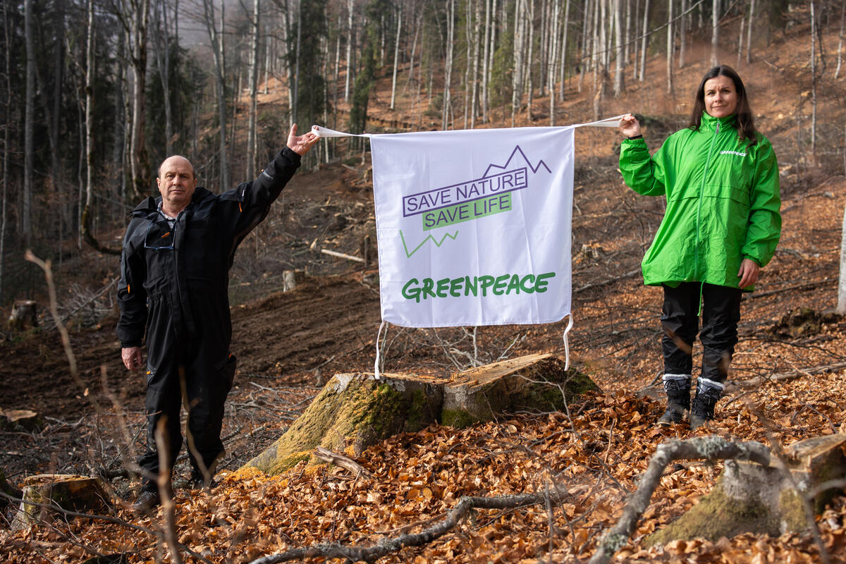 Action in Carpathian Mountains in Romania. © Greenpeace / Răzvan Dima Action in Carpathian Mountains in Romania. © Greenpeace / Răzvan Dima