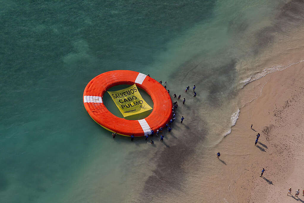 "Save Cabo Pulmo" Action in Mexico. © Prometeo  Lucero / Greenpeace