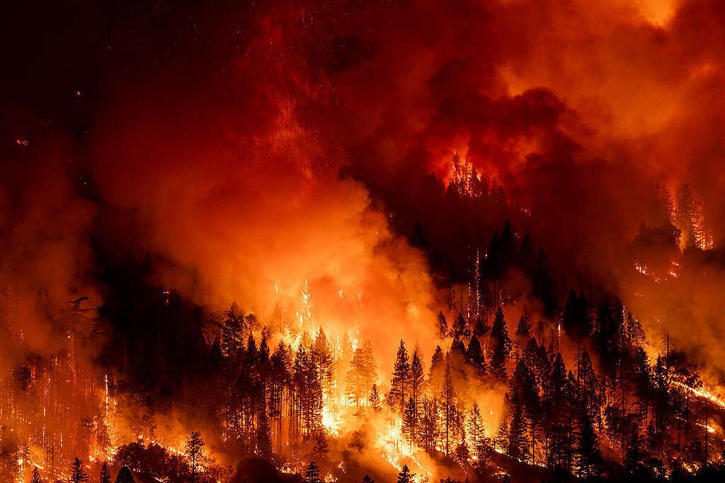 Fotografía de incendios.