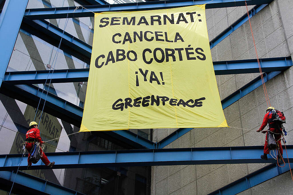 Oceans Action at the Semarnat in Mexico. © Prometeo  Lucero / Greenpeace
